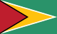 Flag of Guyana